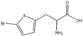 2-amino-3-(5-bromothien-2-yl)propanoic acid