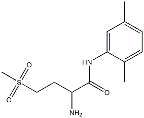 2-amino-N-(2,5-dimethylphenyl)-4-(methylsulfonyl)butanamide|