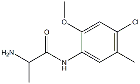 2-amino-N-(4-chloro-2-methoxy-5-methylphenyl)propanamide