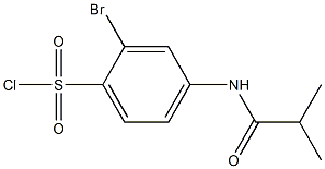 2-bromo-4-(2-methylpropanamido)benzene-1-sulfonyl chloride,,结构式