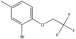 2-bromo-4-methyl-1-(2,2,2-trifluoroethoxy)benzene Structure