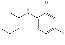 2-bromo-4-methyl-N-(4-methylpentan-2-yl)aniline,,结构式