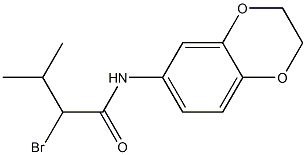 2-bromo-N-2,3-dihydro-1,4-benzodioxin-6-yl-3-methylbutanamide,,结构式