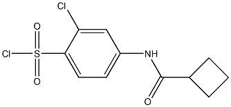 2-chloro-4-cyclobutaneamidobenzene-1-sulfonyl chloride