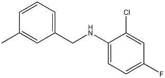 2-chloro-4-fluoro-N-[(3-methylphenyl)methyl]aniline,,结构式