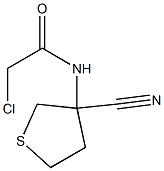 2-chloro-N-(3-cyanotetrahydrothien-3-yl)acetamide Struktur