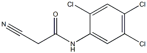 2-cyano-N-(2,4,5-trichlorophenyl)acetamide