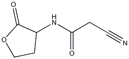 2-cyano-N-(2-oxooxolan-3-yl)acetamide