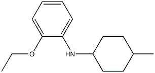 2-ethoxy-N-(4-methylcyclohexyl)aniline,,结构式
