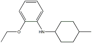 2-ethoxy-N-(4-methylcyclohexyl)aniline Structure