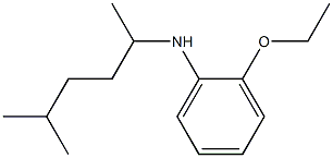 2-ethoxy-N-(5-methylhexan-2-yl)aniline 结构式