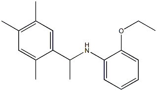 2-ethoxy-N-[1-(2,4,5-trimethylphenyl)ethyl]aniline 化学構造式