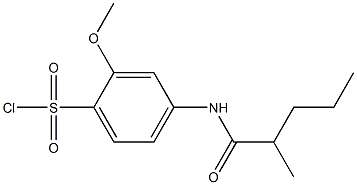 2-methoxy-4-(2-methylpentanamido)benzene-1-sulfonyl chloride 化学構造式