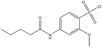 2-methoxy-4-pentanamidobenzene-1-sulfonyl chloride Struktur