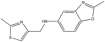 2-methyl-N-[(2-methyl-1,3-thiazol-4-yl)methyl]-1,3-benzoxazol-5-amine,,结构式