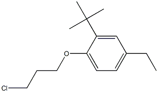 2-tert-butyl-1-(3-chloropropoxy)-4-ethylbenzene Structure