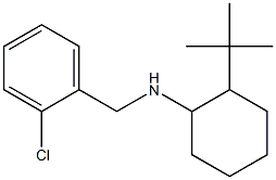 2-tert-butyl-N-[(2-chlorophenyl)methyl]cyclohexan-1-amine,,结构式