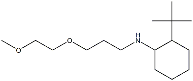  2-tert-butyl-N-[3-(2-methoxyethoxy)propyl]cyclohexan-1-amine