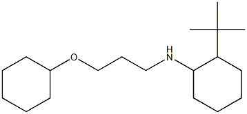 2-tert-butyl-N-[3-(cyclohexyloxy)propyl]cyclohexan-1-amine,,结构式