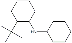 2-tert-butyl-N-cyclohexylcyclohexan-1-amine Struktur