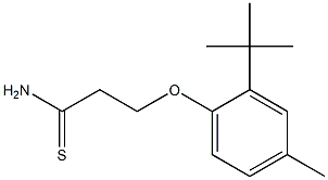 3-(2-tert-butyl-4-methylphenoxy)propanethioamide 化学構造式