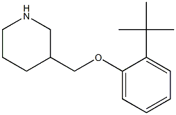 3-(2-tert-butylphenoxymethyl)piperidine,,结构式