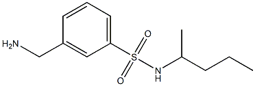 3-(aminomethyl)-N-(pentan-2-yl)benzene-1-sulfonamide 结构式