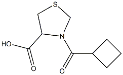 3-(cyclobutylcarbonyl)-1,3-thiazolidine-4-carboxylic acid