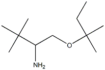 3,3-dimethyl-1-[(2-methylbutan-2-yl)oxy]butan-2-amine 化学構造式