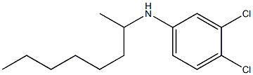 3,4-dichloro-N-(octan-2-yl)aniline Struktur