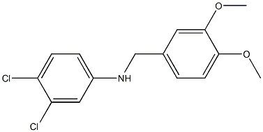 3,4-dichloro-N-[(3,4-dimethoxyphenyl)methyl]aniline,,结构式