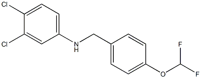 3,4-dichloro-N-{[4-(difluoromethoxy)phenyl]methyl}aniline Structure