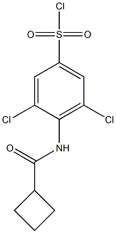 3,5-dichloro-4-cyclobutaneamidobenzene-1-sulfonyl chloride