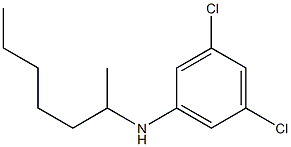 3,5-dichloro-N-(heptan-2-yl)aniline Structure