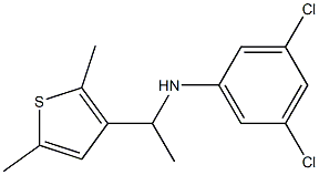 3,5-dichloro-N-[1-(2,5-dimethylthiophen-3-yl)ethyl]aniline,,结构式