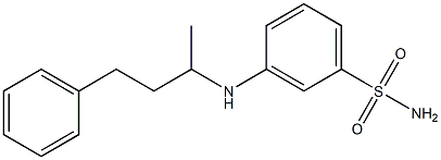 3-[(4-phenylbutan-2-yl)amino]benzene-1-sulfonamide 结构式