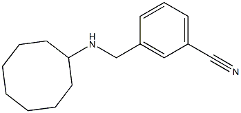  3-[(cyclooctylamino)methyl]benzonitrile