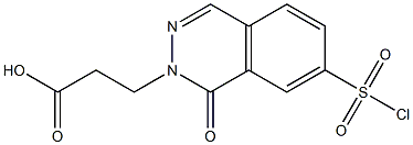 3-[7-(chlorosulfonyl)-1-oxo-1,2-dihydrophthalazin-2-yl]propanoic acid Struktur