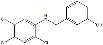  3-{[(2,4,5-trichlorophenyl)amino]methyl}phenol