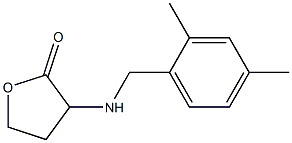 3-{[(2,4-dimethylphenyl)methyl]amino}oxolan-2-one