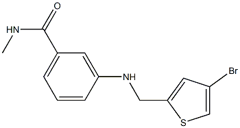 3-{[(4-bromothiophen-2-yl)methyl]amino}-N-methylbenzamide 结构式