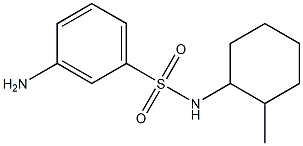 3-amino-N-(2-methylcyclohexyl)benzenesulfonamide,,结构式