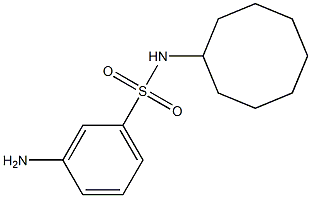 3-amino-N-cyclooctylbenzene-1-sulfonamide