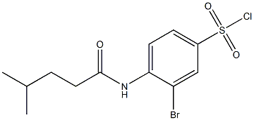 3-bromo-4-(4-methylpentanamido)benzene-1-sulfonyl chloride Structure