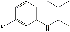 3-bromo-N-(3-methylbutan-2-yl)aniline Structure