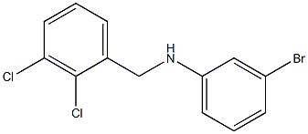 3-bromo-N-[(2,3-dichlorophenyl)methyl]aniline,,结构式