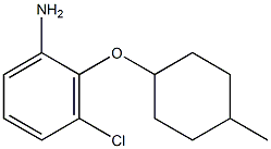 3-chloro-2-[(4-methylcyclohexyl)oxy]aniline