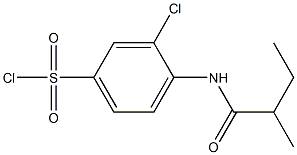 3-chloro-4-(2-methylbutanamido)benzene-1-sulfonyl chloride