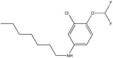 3-chloro-4-(difluoromethoxy)-N-heptylaniline,,结构式