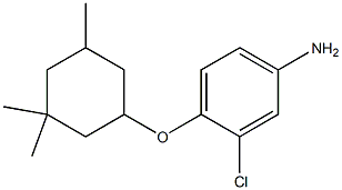 3-chloro-4-[(3,3,5-trimethylcyclohexyl)oxy]aniline 化学構造式
